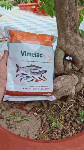 Vimelac thức ăn cá tăng trưởng sức khỏe và tỷ lệ sống cao