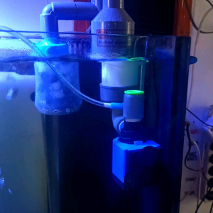 Pompa Protein Skimmer DIY: Modifikasi Pompa Tipe 1600 Standar & Big Size