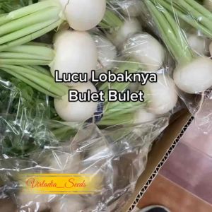 [Virladia Seeds] Biji Benih tanaman Lobak Mini Bulat Putih