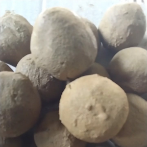 Jual Tanah Liat 14 Butir untuk Kerajinan & Rebusan Daun Peyaya