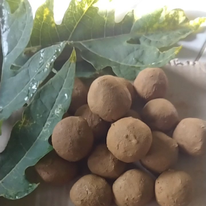 Jual Tanah Liat Asli & Tanah Ampo 15 Butir Tidak Pahit