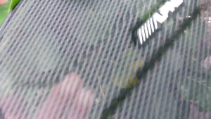 Màng bảo vệ loa bằng sắt dày và chắc chắn dùng cho loa 250mm Kích thước đường kính ngoài là 280mm Kích thước chiều cao là 18mm Kích thước tâm 2 lỗ chéo 280mm đến 290 mm Ae mua về để bảo vệ loa tránh lỗi hư không đáng có