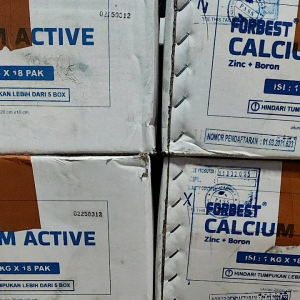Pupuk Forbest CALCIUM ACTIVE plus Silika+Zinc+mgO ORIGINAL 1KG