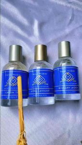 PARFUM EAU DE PARFUME PARFUM SN LUXURY 30ML MINYAK WANGI ELEGAN DAN MASKULIN