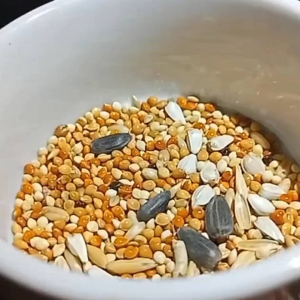 FERTILITY PELLET FOR AFRICAN LOVEBIRDS COCKATIELS LOCAL BUDGIE AND ETC