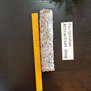 White Sage แคลิฟอร์เนีย ไวท์เสจ ใบไวท์เสจ (California White Sage) ใบจากต้นเสจ ขนาด 8-9 นิ้ว [ ร้าน กฎแรงดึงดูด ATTRACTION SHOP ]