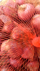 Bawang Merah Super Murah 1kg dan 500gr Packing Aman