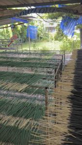 ธูปไล่ยุงออแกนิค ถุงละ10กิโลกรัม ส่งตรงจากโรงงาน(ระบุสีได้)