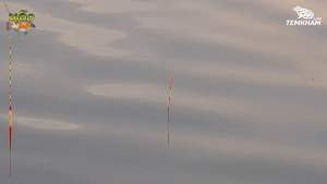 ปังหิมะ กลิ่นหอม ผสม รำ ขนมปัง ไฮเกรด ตกปลาหน้าดิน ชิงหลิว