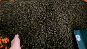 Trà Ô Long Sạch Nguyên Chất Lai Châu 1KG - Trà Olong Đặc Sản Vùng Cao Lai Châu Uống Thanh Nhiệt Cơ Thể Giảm Cân An Toàn Nước Trà Đẹp Hương Thơm