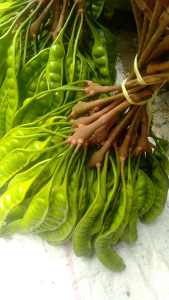 PETE/PETAI PADI PER 1 LONJOR PAPAN TUA SUPER