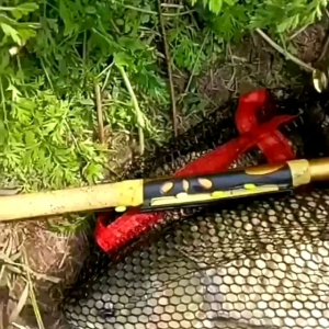Túi lưới đựng cá rộng 55cm dài 1m 1m5 2m 2m5 3m h