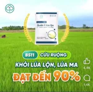 Gói Xử Lý Lúa Lộn Lúa Cỏ Lúa 2 Tầng Bs11 Quản Lý Lúa Lộn