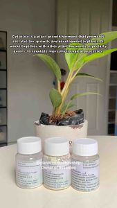 6-BAP 6-Benzylaminopurine 6-BA Cloning Hormone Phytohormone Plant Growth Hormone