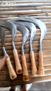 Arit Rumput: Pemilihan dan Penggunaan yang Tepat