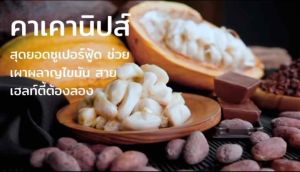 คาเคานิบส์ ออร์แกนิกแท้ เกรดพรีเมี่ยม เพื่อสุขภาพ ( Cacao Nibs ) ขนาด 100กรัม