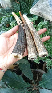 pipa once tanduk RS super premium original D36