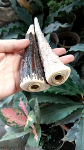 Pipa Sedotan Tanduk RS Asli Super Original D35