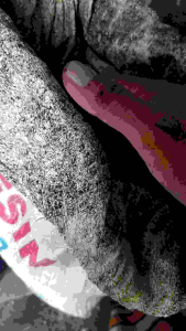 pupuk organik Guano Original 1kg