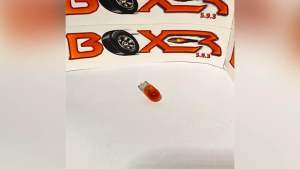 boxer593 boxer 593 lta approved compliance bulbs polelight cabin boot plate boxer593 boxer 593