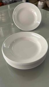 8 นิ้ว จาน ลึก 12 ใบ พลาสติกใส่ร้อนได้ - ไม่มีสารเคมี ปลอดภัย ในร่างกาย