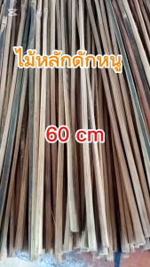 ไม้หลักดักหนู 60 เซ็นติเมตร ไม้ใส่บ่วงดักหนู ไม่บ่วงดักหนูนา ความรู้ความสะอาด