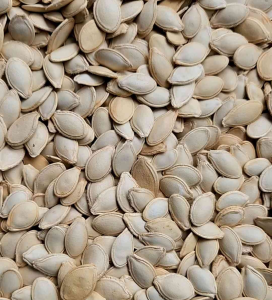 [TERMURAH] 200 BUTIR BIJI | BENIH ZUKINI | ZUCCHINI PANJANG HIJAU