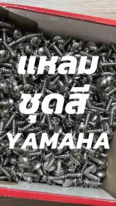 สกรูเกลียวปล่อย หัวร่มแฉก SUS สแตนเลส #10x5/8 (เทียบประมาณ5x16มิล)Fino Mio Nouvo(ใช้กับกิ๊บเกลียวปล่อยเบอร์ 10)