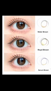 Softlens EOS CECILE Brown Grey Dia. 14mm Normal Minus (0.00 s.d -10.00)