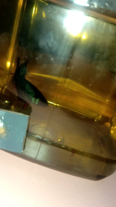 original wild betta imbellis gred A