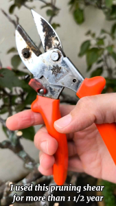 SK5 Steel Pruning Shear Garden Scissors and Cutters Secateur Gardening Hand Tool Effortless Ergonomic Handle Fruit Tree
