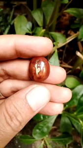 Batu akik motif Tunas kelapa