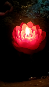 เทียนดอกบัวลอยน้ำได้🪷จุดได้นาน3-4ชม. (คละสี)