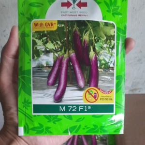 Benih Terong Ungu M72 F1 Isi 1.100 Biji
