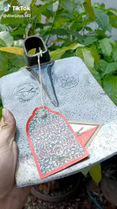 Cangkul Carmen Buaya mas-Pacul Doran siap pakai-Cangkul Sawah anti lengket