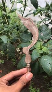 KARYA SENIMAN PANGRAJIN PANDE ASLI MADURA