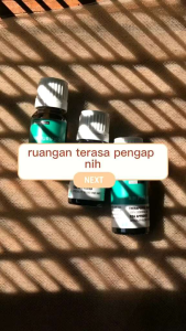 Pharmacie Essential Oil Aromatherapy Minyak Aromaterapi Humidifier Difusser 10ml