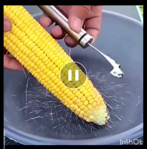 Alat Pengupas Jagung Stainless
