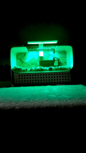 lampu led aquarium 5v biru 6mata