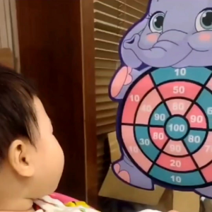 Mainan Edukasi Lempar Bola Target Board Game