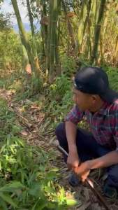 Golok Kebun Si Jago Bahan Baja Per Asli Super Tajam Tebang Pohon Kebun - Lapak Tani