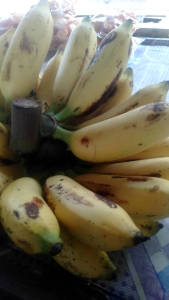 PISANG ULI/KETAN SATU SISIR BERAT 1KG FRESH