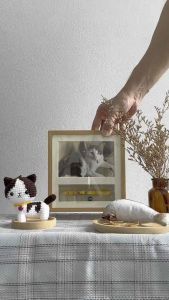 "แมวโมรี่บ๊อกซ์" โกศกรอบรูปไม้แห่งความทรงจำ (กรอบรูป รูปปริ้นท์ฟรี ถุงบรรจุอัฐิและที่เก็บปลอกคอ)