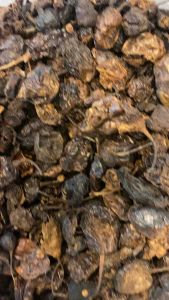 Fresh Dry Cameroon Extract Hot pepper