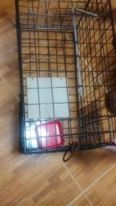 ดักแมวจรแมวขโมย size XL 30*30*55cm ส.คำหมาน