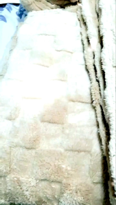 🌜SIÊU ĐẸP🌜 Chăn Lông Cừu Cao Cấp SML Nhập Khẩu 2m3x2m Hàng Loại I Sang Đẹp Mềm Mịn _ Nemtot Bedding