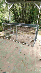 1 x 10 meter lubang 15cm x 15cm jaring pagar ayam atau bebek dll