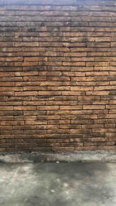 Paket 100 Ribu Dapatkan 10 Celana Pendek Anak Laki-laki Motif Usia 3-12 Tahun / Celana Chinos Harian Anak