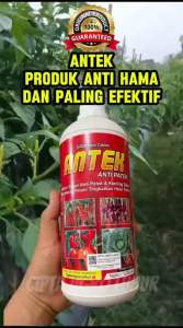Pupuk Antek Anti Patek dan keriting daun 1 Liter BELI 3 FREE 1 TERAMPUH