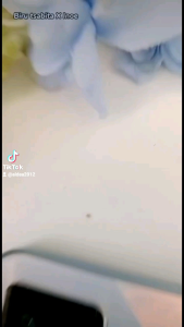 Dompet Wanita Muat HP 35 Anmarline Pouch